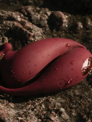 Adrien Lastic Inspiration